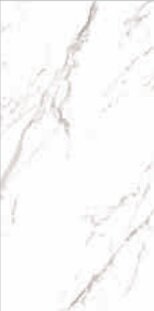 STATUARIO GRIGIO LUCIDO C