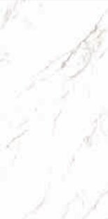 STATUARIO GRIGIO LUCIDO D