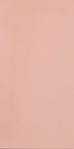 R-EVOLUTION LIGHT PINK R10 10M