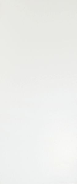Solid White Matt 50x120