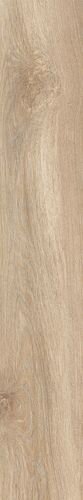 20X120 EVOQUE ROVERE R11 NAT/RET