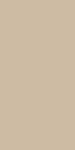 160X320 FULL COLOURS DESERT NAT/RET