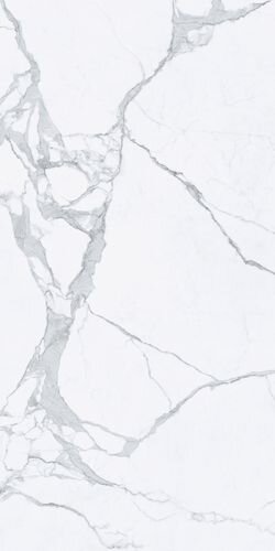160X320 STATUARIO LUC/RET