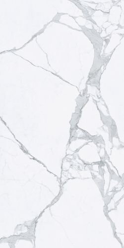 120X280 STATUARIO NAT/RET