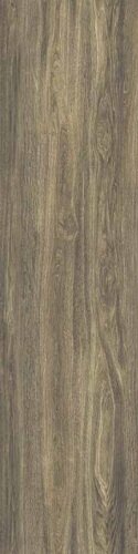PLANKS MUSCHIO