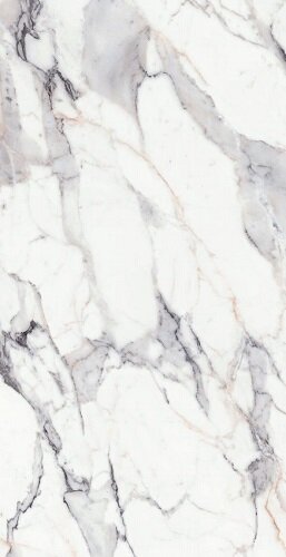 ORIGINES DE REX ARGENT GLOSSY 6MM 120X240 R