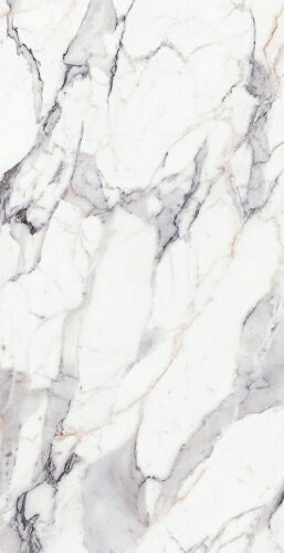 ORIGINES DE REX ARGENT MATTE 6MM 120X240 R