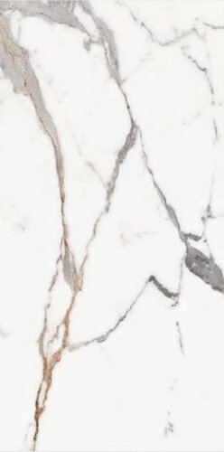 ORIGINES DE REX OR GLOSSY 6MM 60X120 R