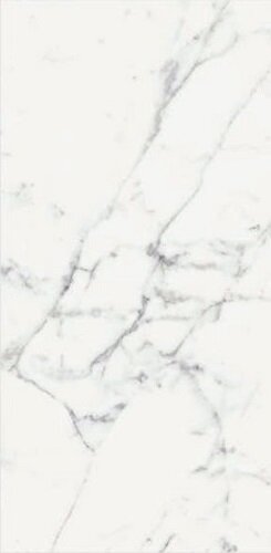 ORIGINES DE REX BLANC MATTE 6MM 60X120 R