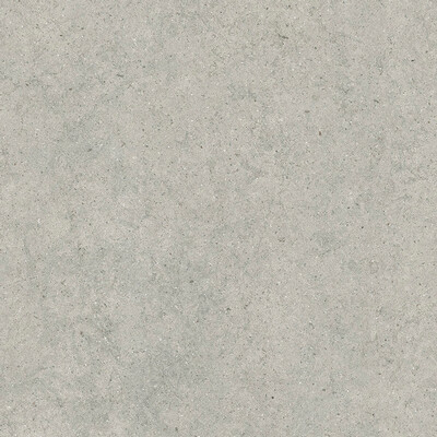 FORUM STONE SILVER 120X120 RET