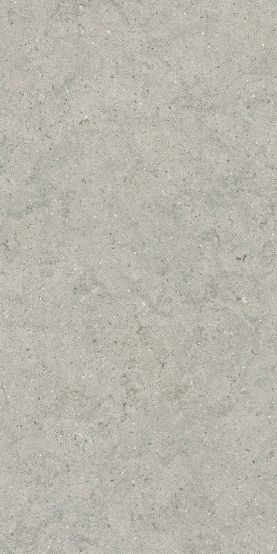 FORUM STONE SILVER 60X120