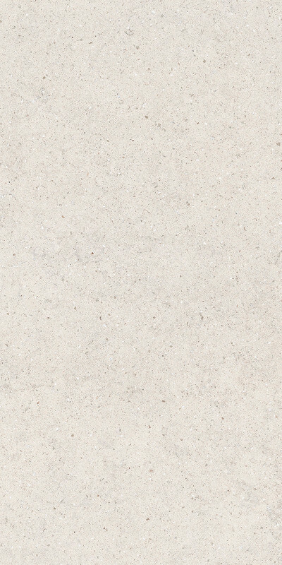 FORUM STONE POLAR 60X120