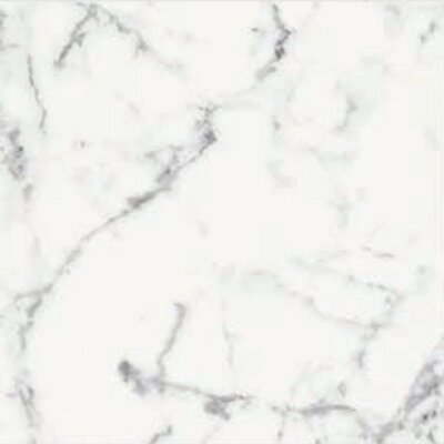 ORIGINES DE REX BLANC MATTETE 60X60 RETT