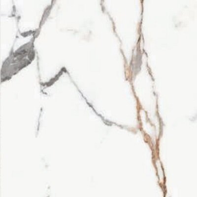 ORIGINES DE REX OR MATTETE 60X60 RETT