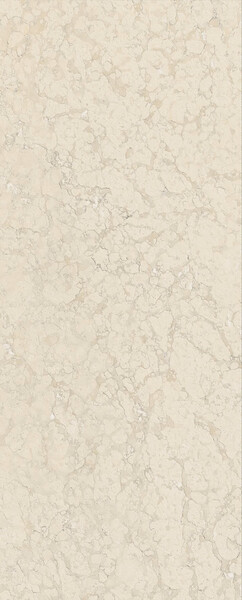 Rare Perlino Bianco DNA 120x300 5