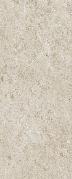 Rare Pietra Di Gre DNA 120x300 5