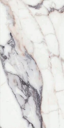 ORIGINES DE REX ARGENT MATTETE 60X120 RETT