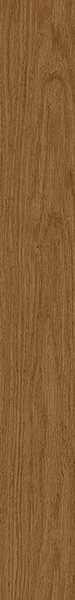Aura Oak 10X80/Аура Оак 10X80