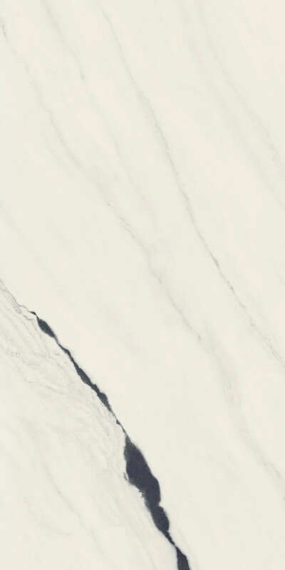 Forte Dei Marmi Panda White Rett 60x120