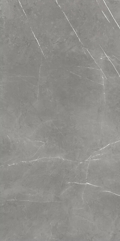 Forte Dei Marmi Elegant Grey Rett 60x120
