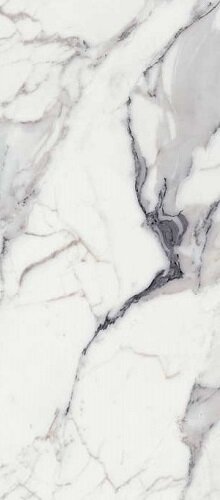 LES ORIGINES DE REX ARGENT GLOSSY 80X180 RT
