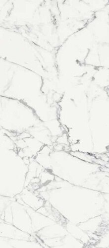 LES ORIGINES DE REX BLANCHE MATTE 80X180RT
