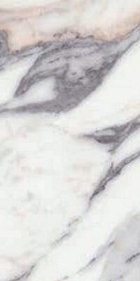 ORIGINES DE REX ARGENT MATTETE 30x60 RETT