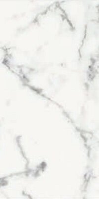 ORIGINES DE REX BLANC MATTETE 30x60 RETT