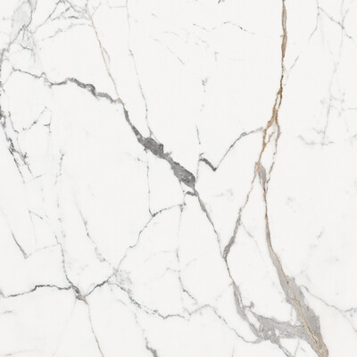 ORIGINES DE REX OR GLOSSY 6MM 120X120 R