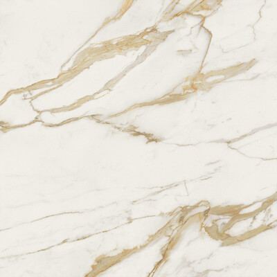 Marvel Next Calacatta Oro 120x120