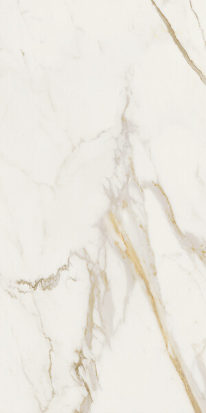 Marvel Next Calacatta Oro 60x120