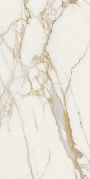 Marvel Next Calacatta Oro 60x120 Lapp.