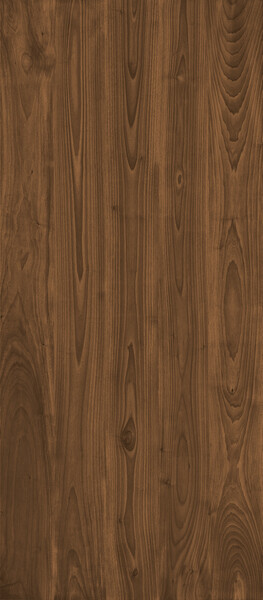 LOG ANTHOLOGY Dark Walnut 120x278 - 6mm