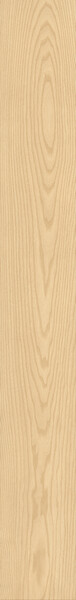 LOG ANTHOLOGY Ash 18,5x150
