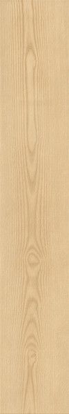LOG ANTHOLOGY Ash 20x120