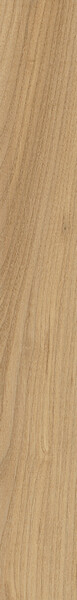 LOG ANTHOLOGY Elm 7,5x60