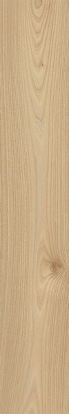 LOG ANTHOLOGY Elm 20x120
