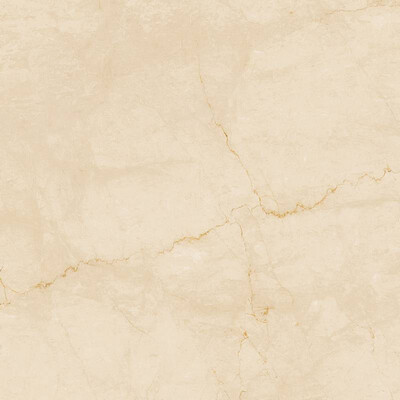 DESERT 120X120 DORATO MATT R9