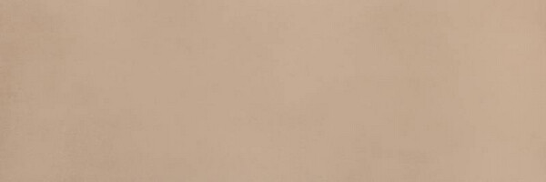 OLTRE IL COLORE 30,5X91,5 TORTORA MATT