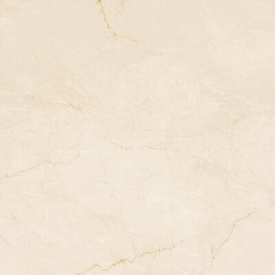 DESERT 120X120 BEIGE MATT R9
