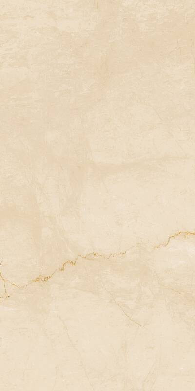 DESERT 60X120 DORATO MATT R9