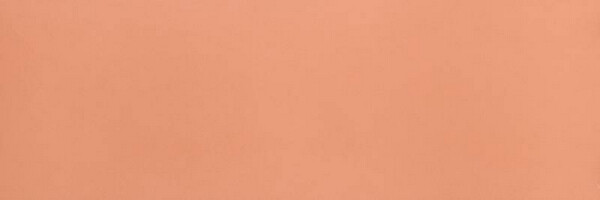 OLTRE IL COLORE 30,5X91,5 CORALLO MATT