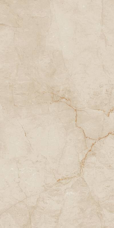 DESERT 60X120 TORTORA MATT R9