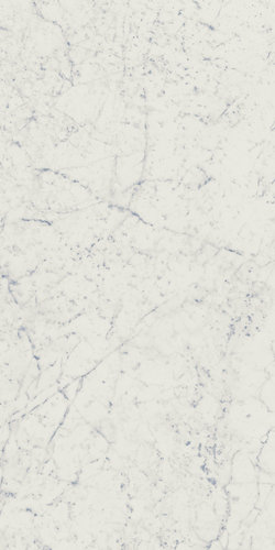 Charme Extra Carrara Lux 60x120/Шарм Экстра Каррара Люкс 60х120 (610015000368)