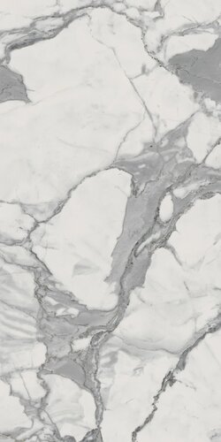 Charme Evo Statuario Cer Rett 30x60 (610015000235) 