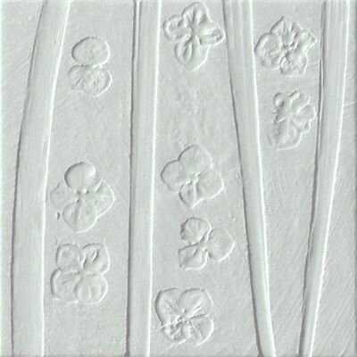 LICHENE TRACCE 20X20