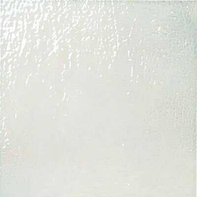 SALVIA TRACCE 20X20