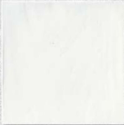 COTTO BIANCO LUCIDO 20X20