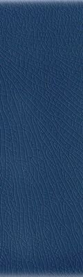 BLU NAVY 10X30