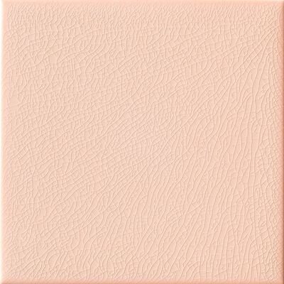 ROSA 20X20